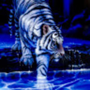 Meet your Posher, Ianair